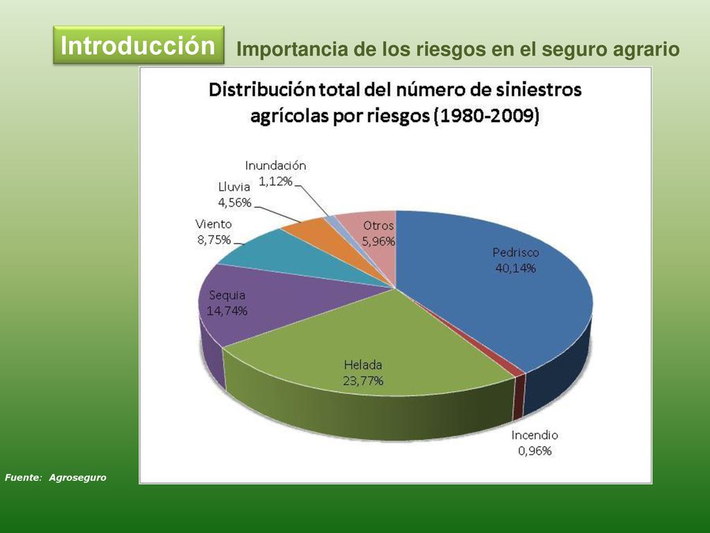 Introducción Importancia de los riesgos en el seguro agrario
