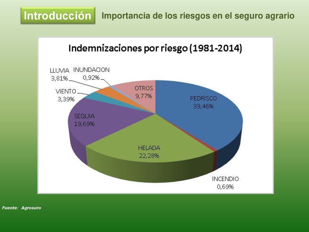 Introducción Importancia de los riesgos en el seguro agrario
