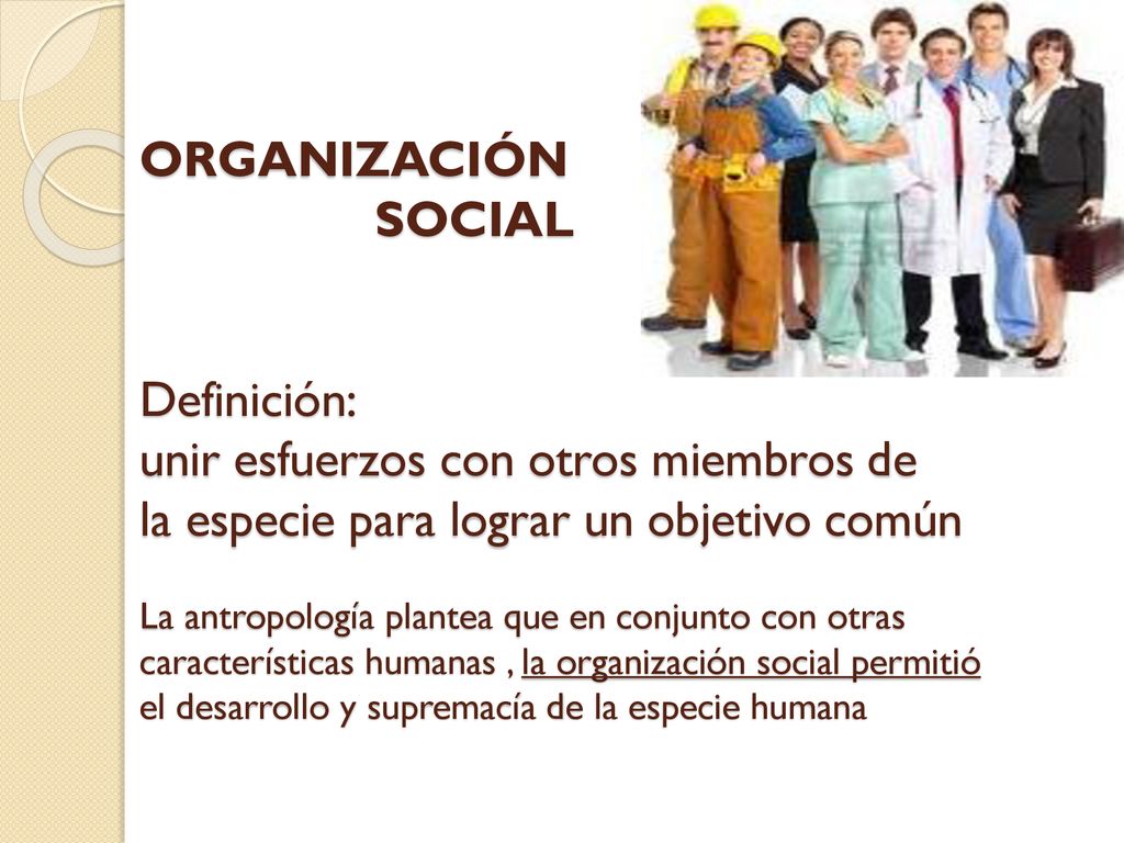 ORGANIZACIÓN SOCIAL Definición: unir esfuerzos con otros miembros de la especie para lograr un objetivo común La antropología plantea que en conjunto con otras características humanas , la organización social permitió el desarrollo y supremacía de la especie humana