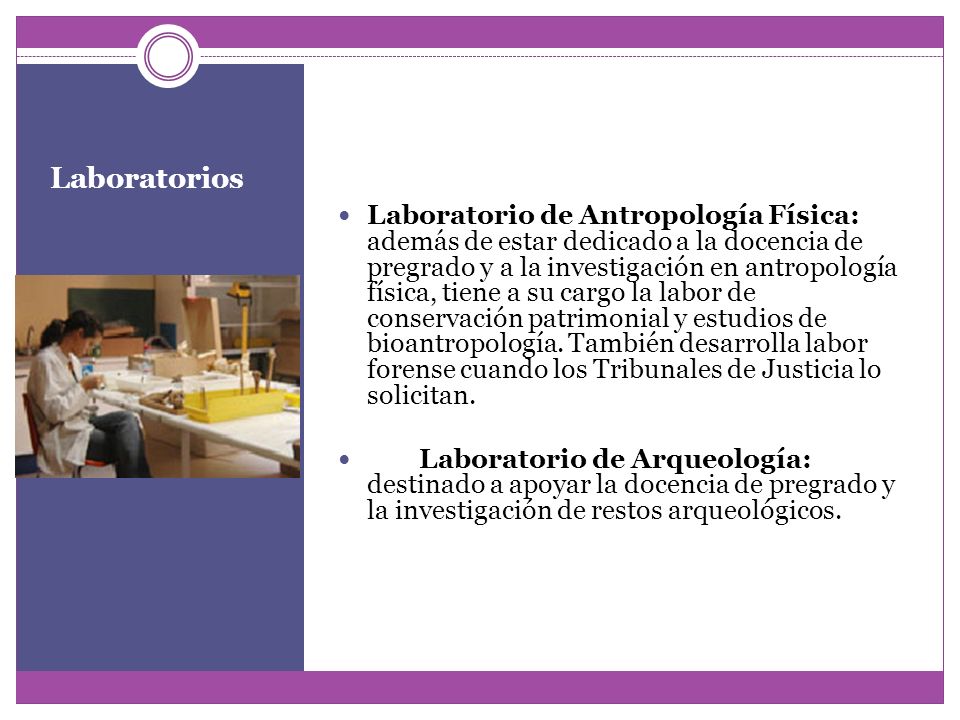 Laboratorio de Antropología Física: además de estar dedicado a la docencia de pregrado y a la investigación en antropología física, tiene a su cargo la labor de conservación patrimonial y estudios de bioantropología. También desarrolla labor forense cuando los Tribunales de Justicia lo solicitan.