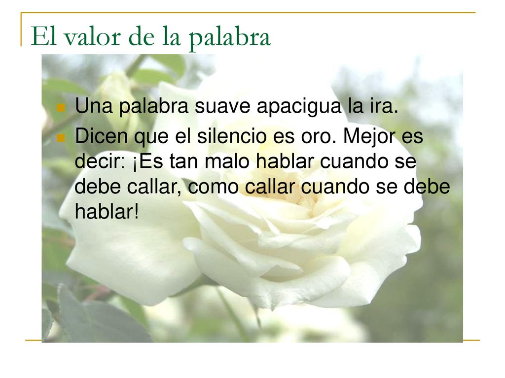 El valor de la palabra Una palabra suave apacigua la ira.