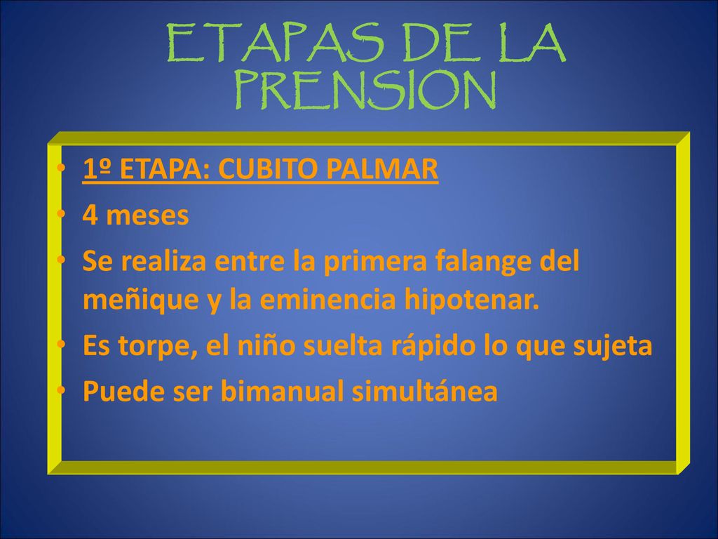 ETAPAS DE LA PRENSION 1º ETAPA: CUBITO PALMAR 4 meses