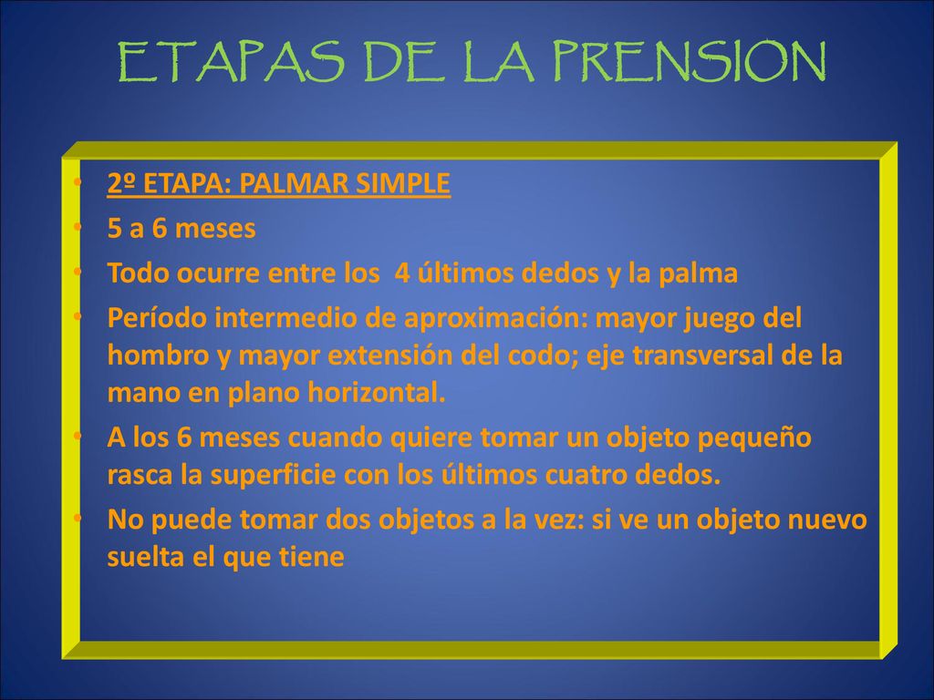 ETAPAS DE LA PRENSION 2º ETAPA: PALMAR SIMPLE 5 a 6 meses