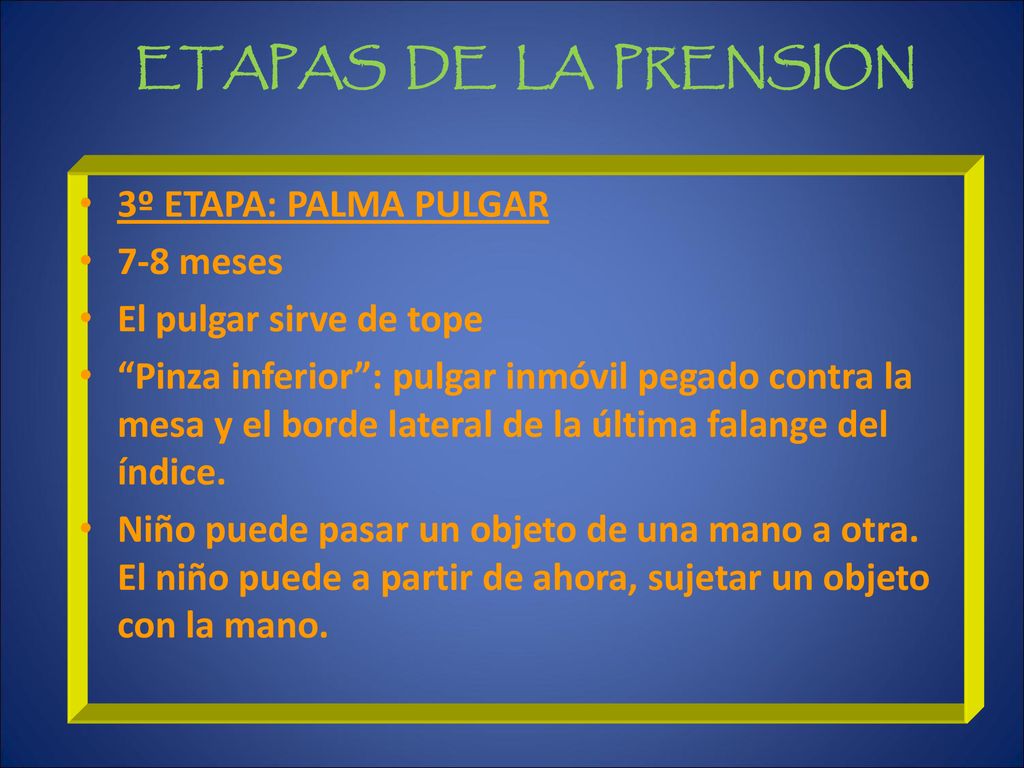 ETAPAS DE LA PRENSION 3º ETAPA: PALMA PULGAR 7-8 meses