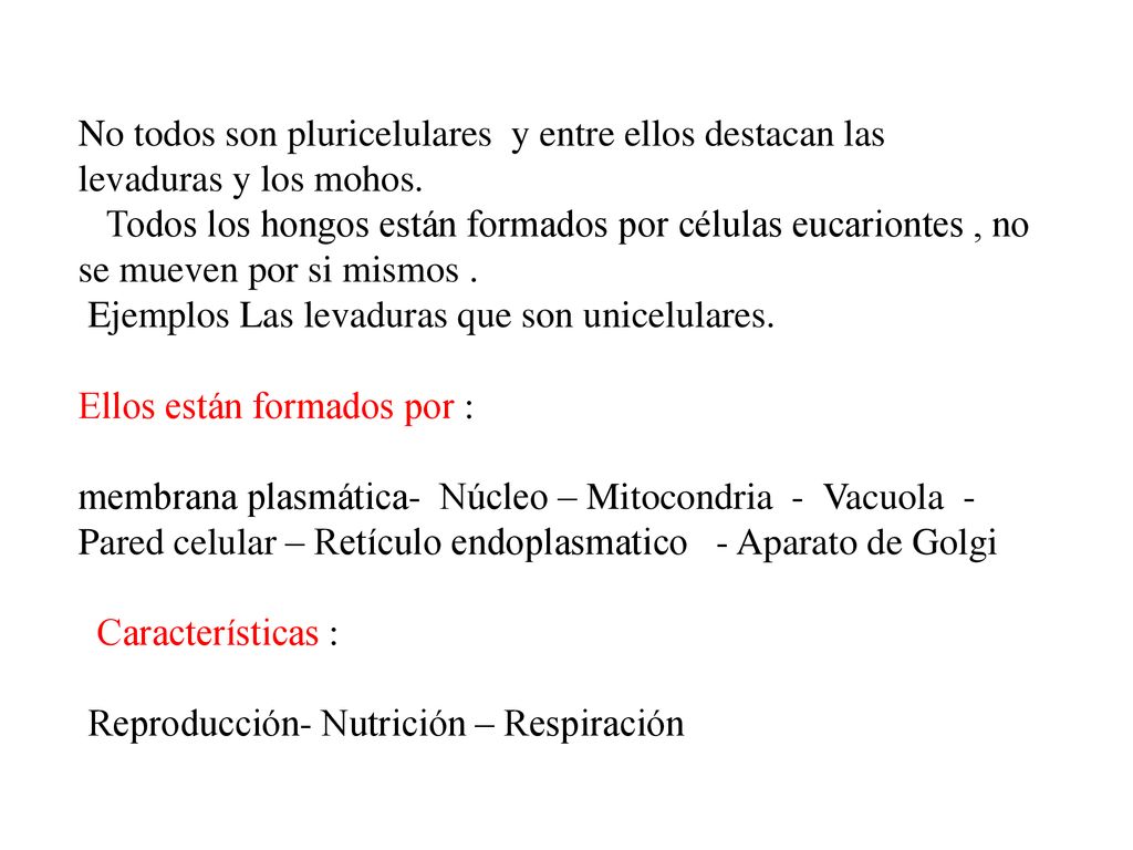 No todos son pluricelulares y entre ellos destacan las levaduras y los mohos.