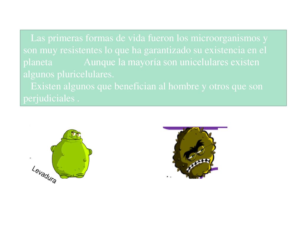 Las primeras formas de vida fueron los microorganismos y son muy resistentes lo que ha garantizado su existencia en el planeta Aunque la mayoría son unicelulares existen algunos pluricelulares.