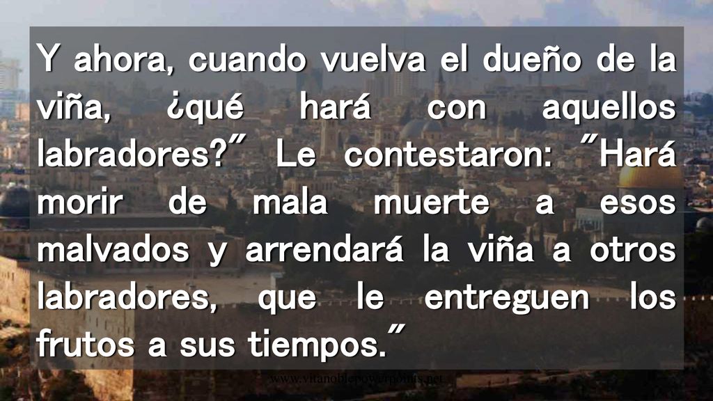 Y ahora, cuando vuelva el dueño de la viña, ¿qué hará con aquellos labradores Le contestaron: Hará morir de mala muerte a esos malvados y arrendará la viña a otros labradores, que le entreguen los frutos a sus tiempos.