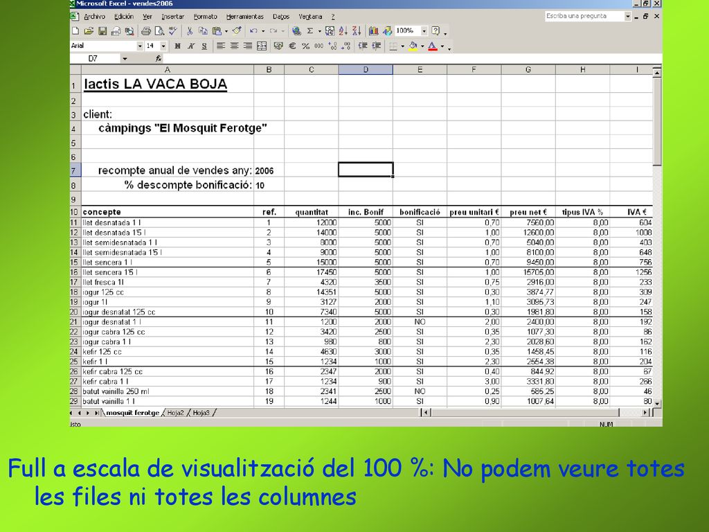 Full a escala de visualització del 100 %: No podem veure totes les files ni totes les columnes