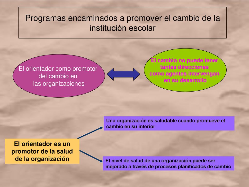 Programas encaminados a promover el cambio de la institución escolar