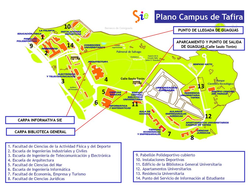 Facultad de Ciencias de la Actividad Física y del Deporte.
