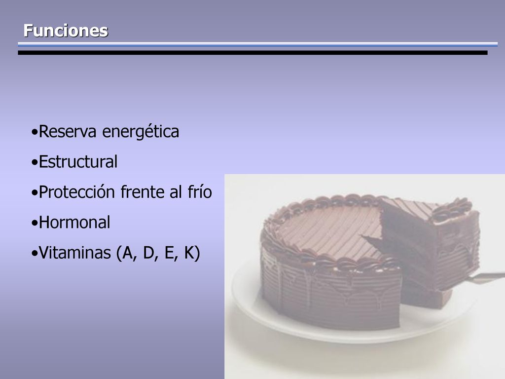 Protección frente al frío Hormonal Vitaminas (A, D, E, K)