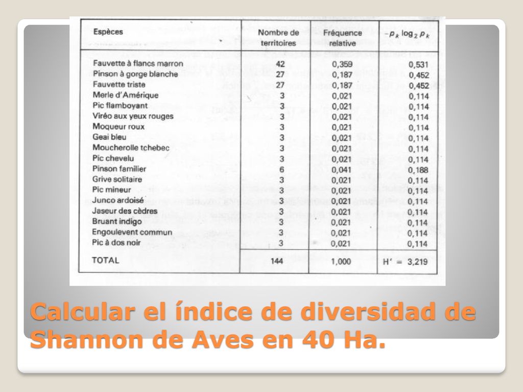 Calcular el índice de diversidad de Shannon de Aves en 40 Ha.