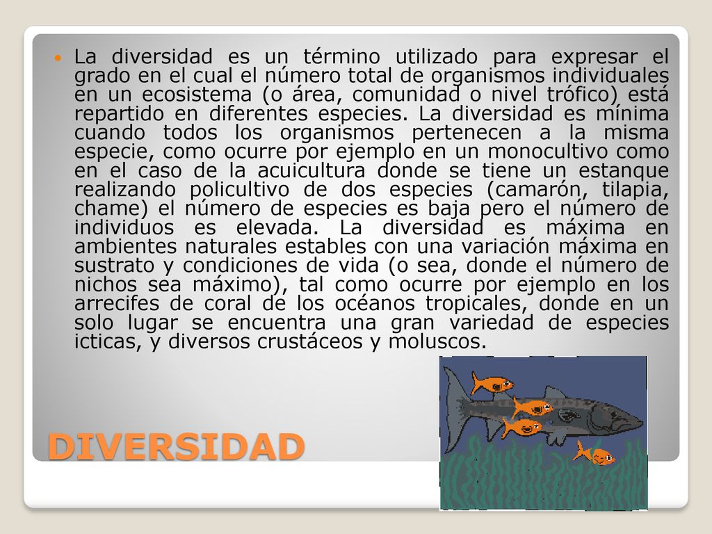 La diversidad es un término utilizado para expresar el grado en el cual el número total de organismos individuales en un ecosistema (o área, comunidad o nivel trófico) está repartido en diferentes especies. La diversidad es mínima cuando todos los organismos pertenecen a la misma especie, como ocurre por ejemplo en un monocultivo como en el caso de la acuicultura donde se tiene un estanque realizando policultivo de dos especies (camarón, tilapia, chame) el número de especies es baja pero el número de individuos es elevada. La diversidad es máxima en ambientes naturales estables con una variación máxima en sustrato y condiciones de vida (o sea, donde el número de nichos sea máximo), tal como ocurre por ejemplo en los arrecifes de coral de los océanos tropicales, donde en un solo lugar se encuentra una gran variedad de especies icticas, y diversos crustáceos y moluscos.