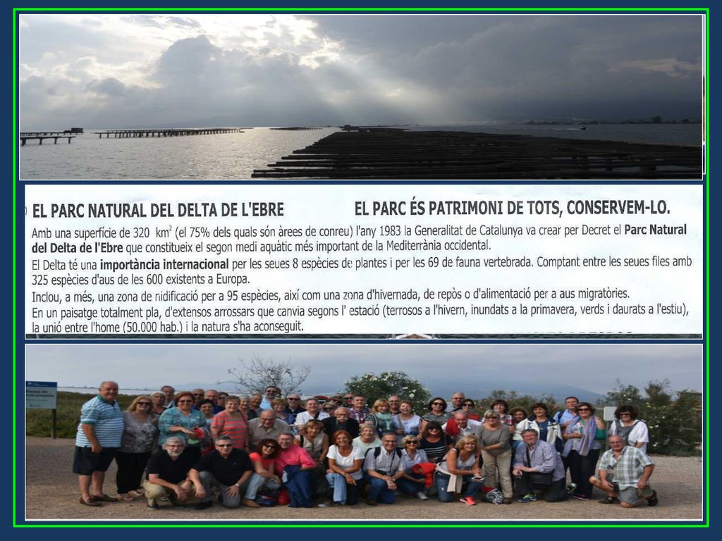 Excursió al Delta del Ebre, collita del arròs i dinar en mig de la mar, prop les muscleres del Xiringuito de l’avi Agustí
