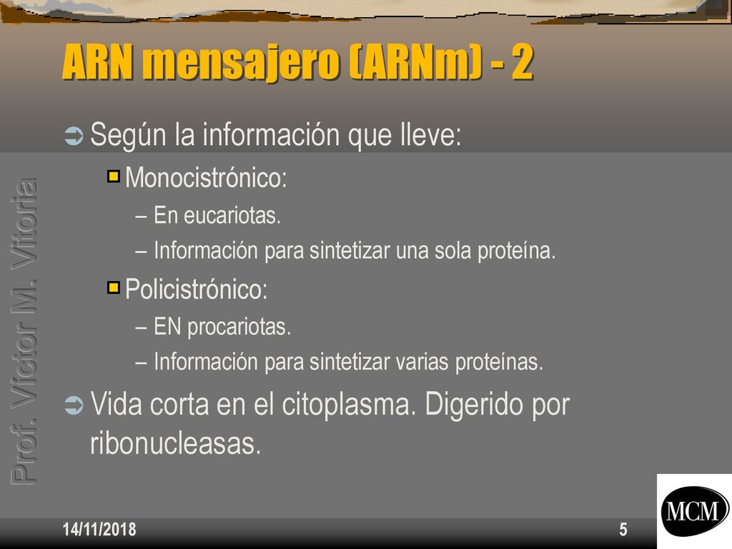 ARN mensajero (ARNm) - 2 Según la información que lleve: