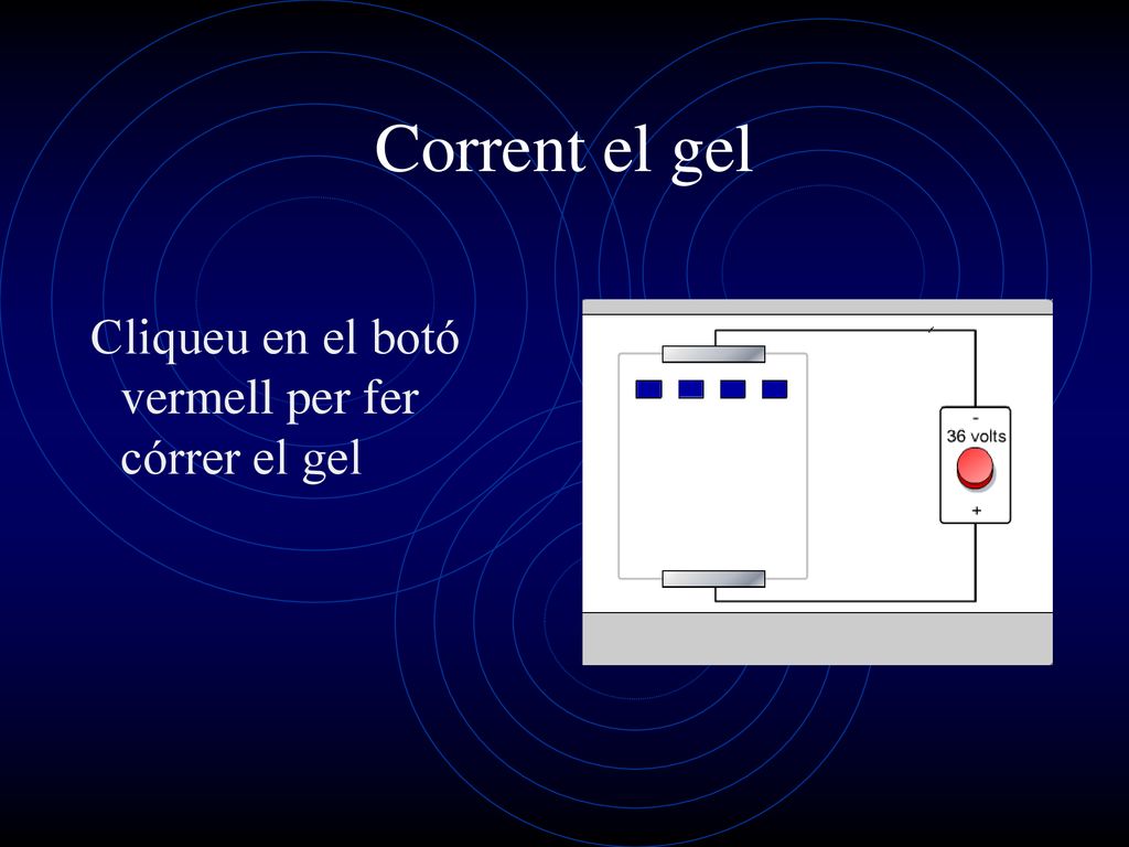 Corrent el gel Cliqueu en el botó vermell per fer córrer el gel