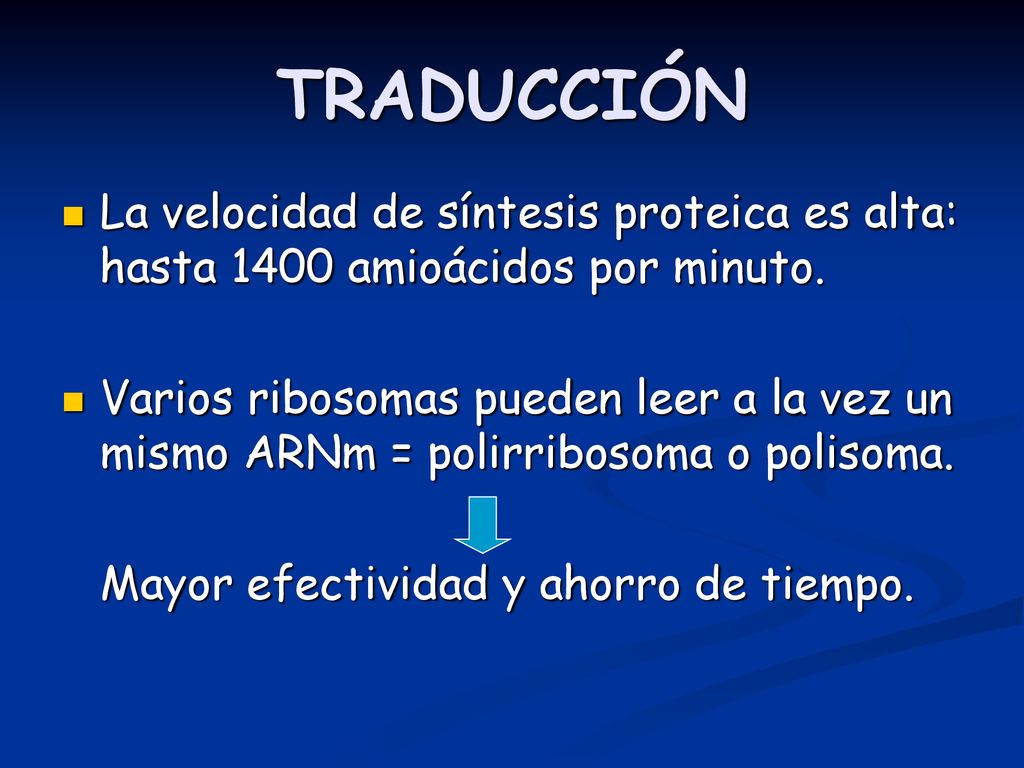 TRADUCCIÓN La velocidad de síntesis proteica es alta: hasta 1400 amioácidos por minuto.