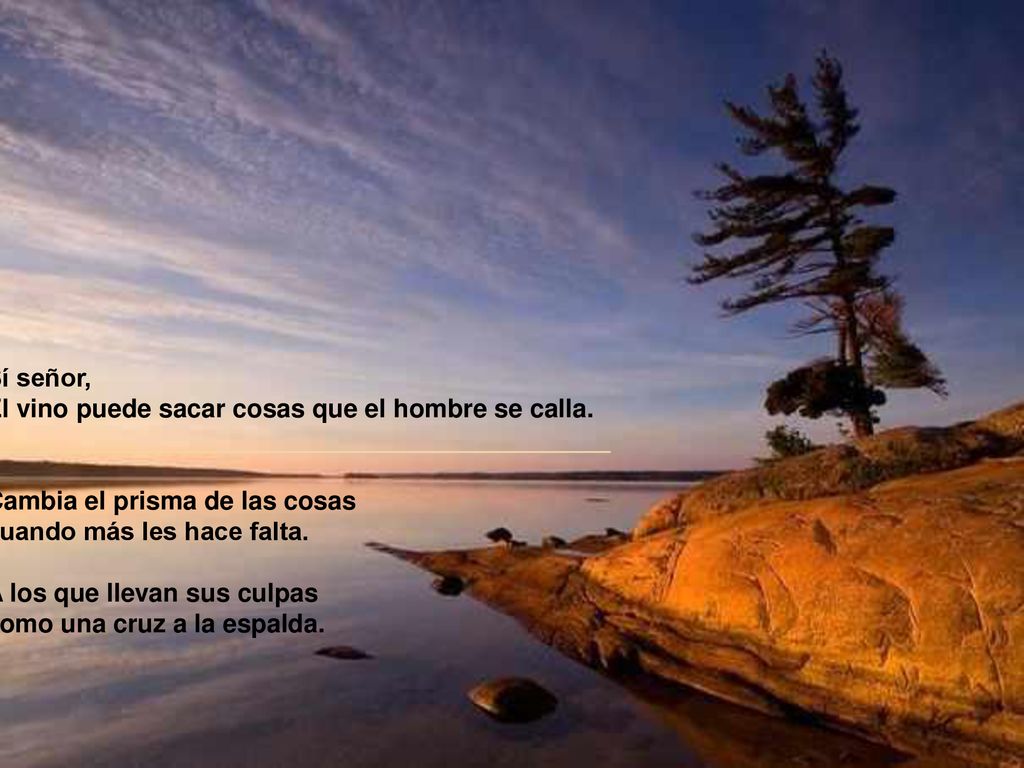 Sí señor, El vino puede sacar cosas que el hombre se calla