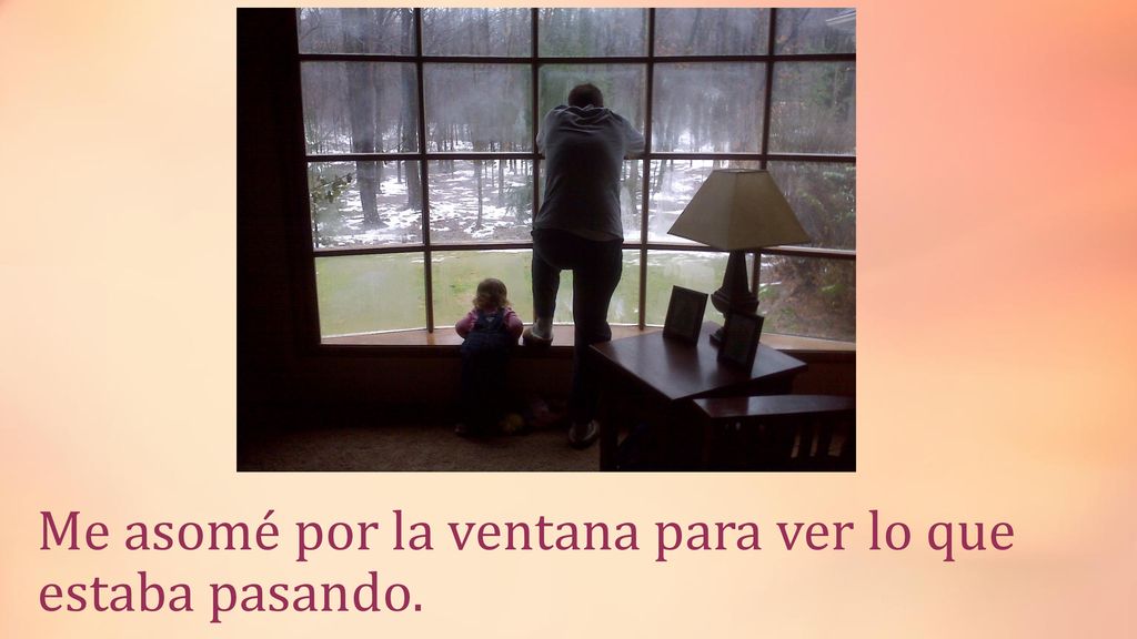 Me asomé por la ventana para ver lo que estaba pasando.