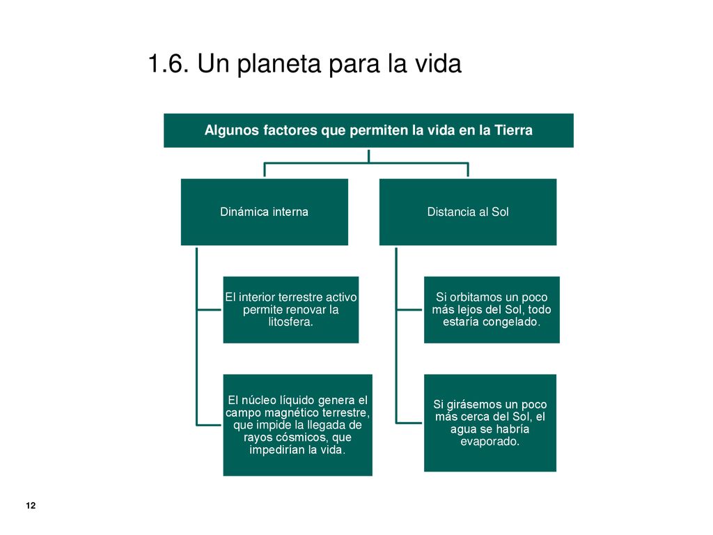 Algunos factores que permiten la vida en la Tierra