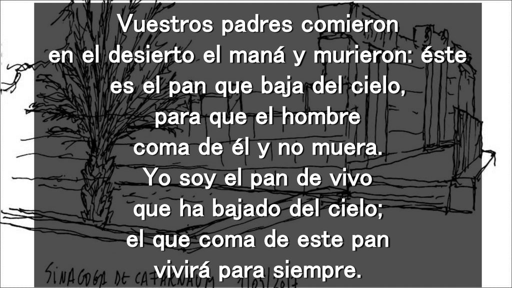 Vuestros padres comieron en el desierto el maná y murieron: éste es el pan que baja del cielo, para que el hombre coma de él y no muera.