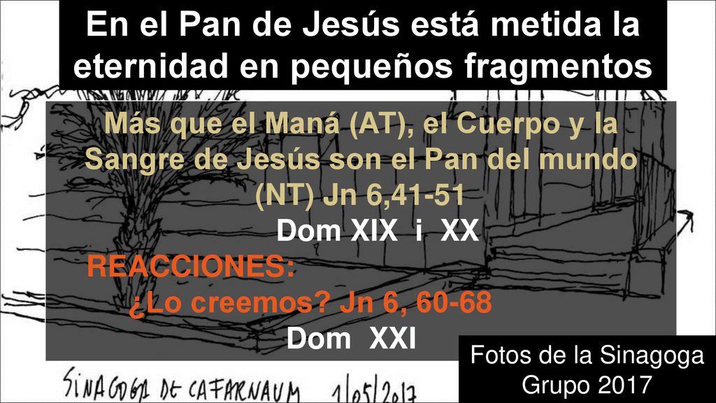 En el Pan de Jesús está metida la eternidad en pequeños fragmentos