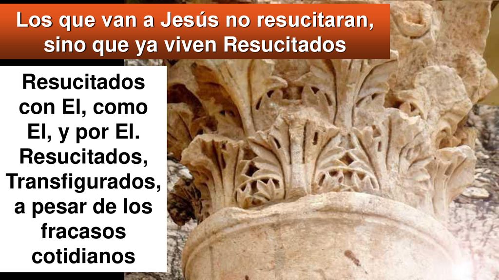 Los que van a Jesús no resucitaran, sino que ya viven Resucitados
