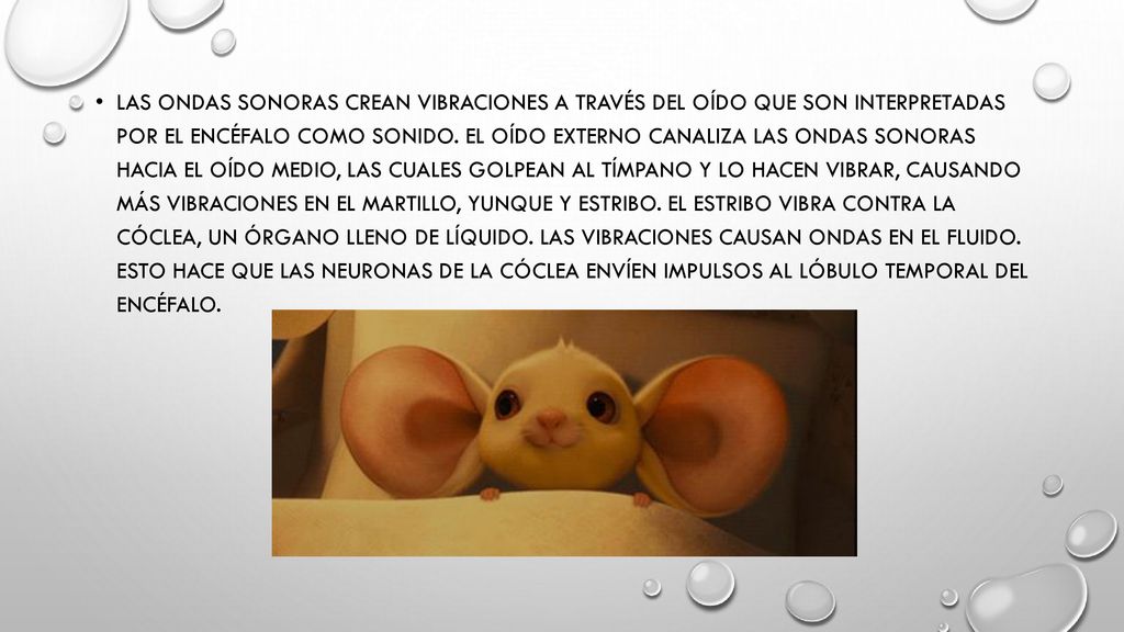 Las ondas sonoras crean vibraciones a través del oído que son interpretadas por el encéfalo como sonido.