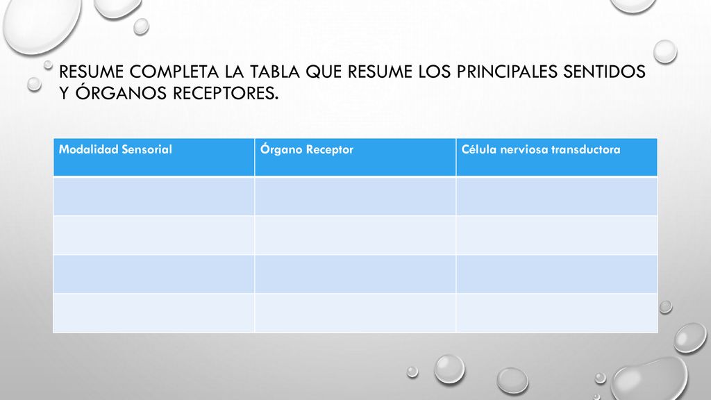 Resume Completa la tabla que resume los principales sentidos y órganos receptores.