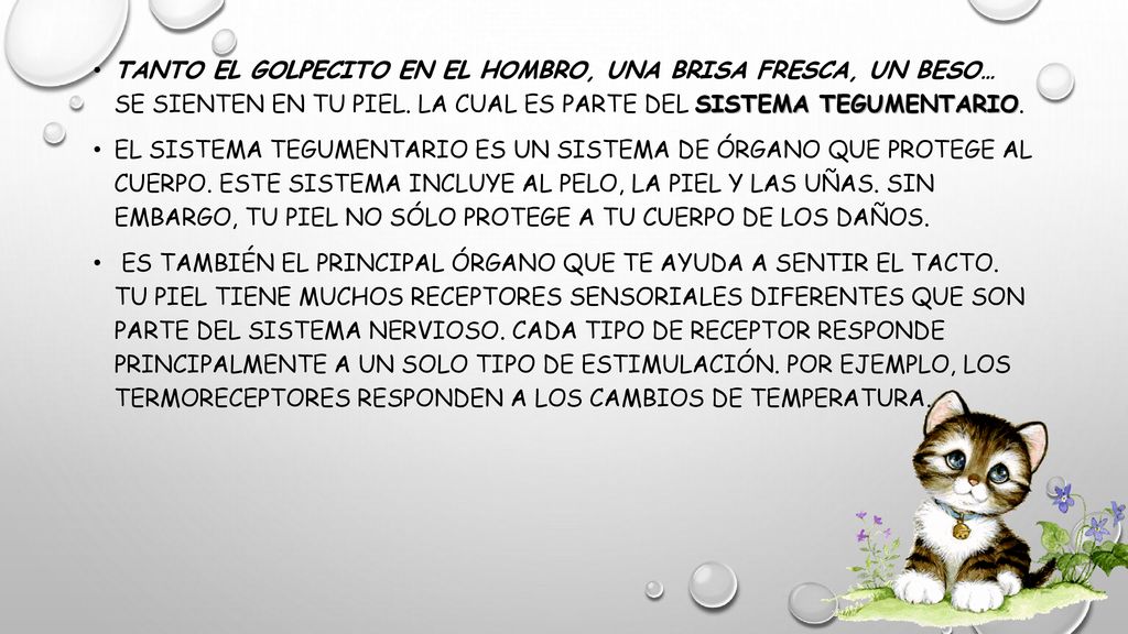 Tanto el golpecito en el hombro, una brisa fresca, un beso… se sienten en tu piel. la cual es parte del sistema tegumentario.