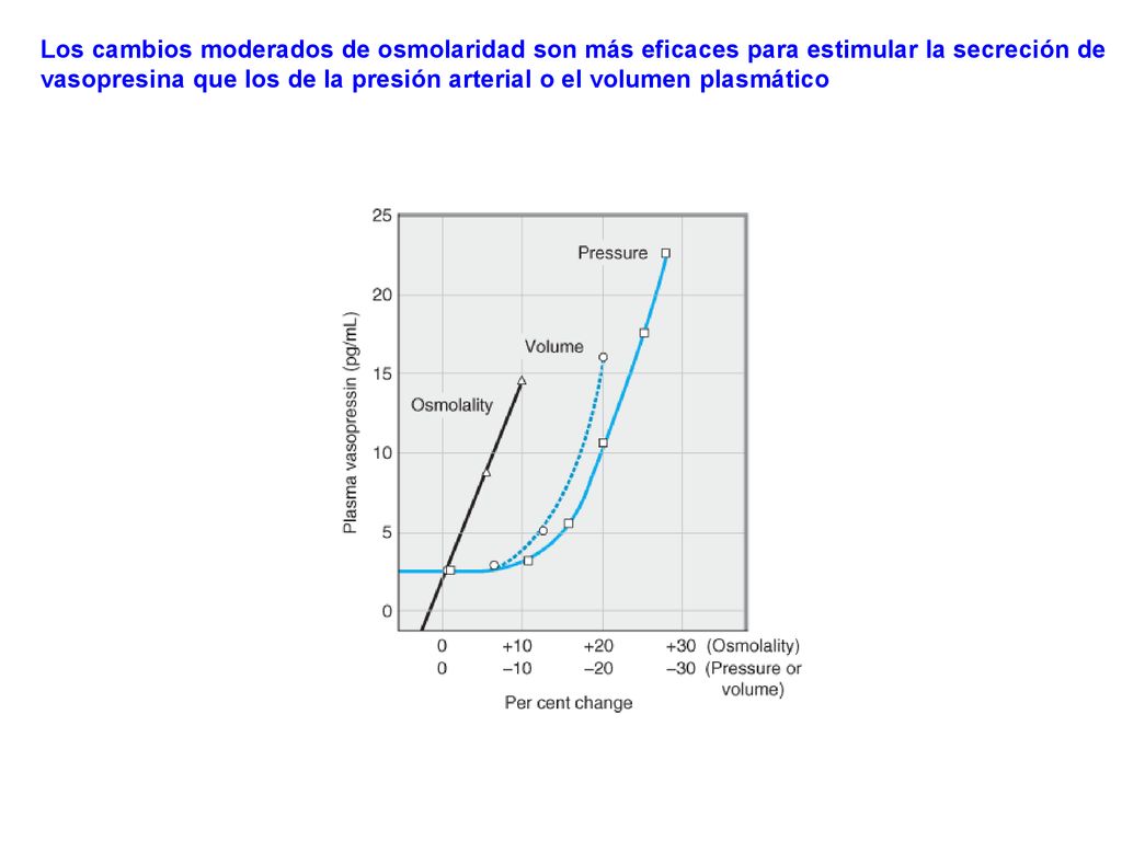 Los cambios moderados de osmolaridad son más eficaces para estimular la secreción de vasopresina que los de la presión arterial o el volumen plasmático