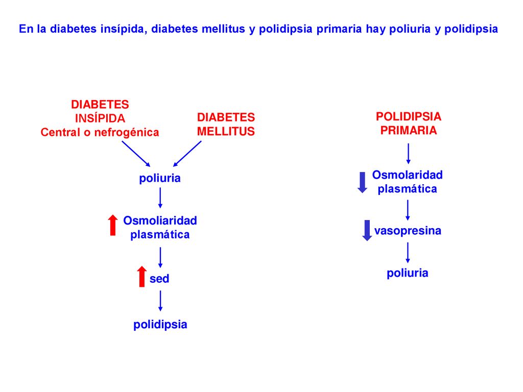En la diabetes insípida, diabetes mellitus y polidipsia primaria hay poliuria y polidipsia
