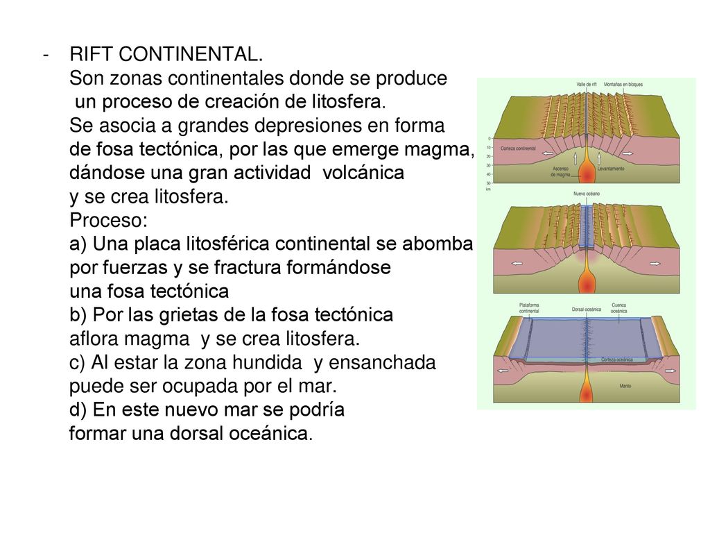 RIFT CONTINENTAL. Son zonas continentales donde se produce. un proceso de creación de litosfera. Se asocia a grandes depresiones en forma.