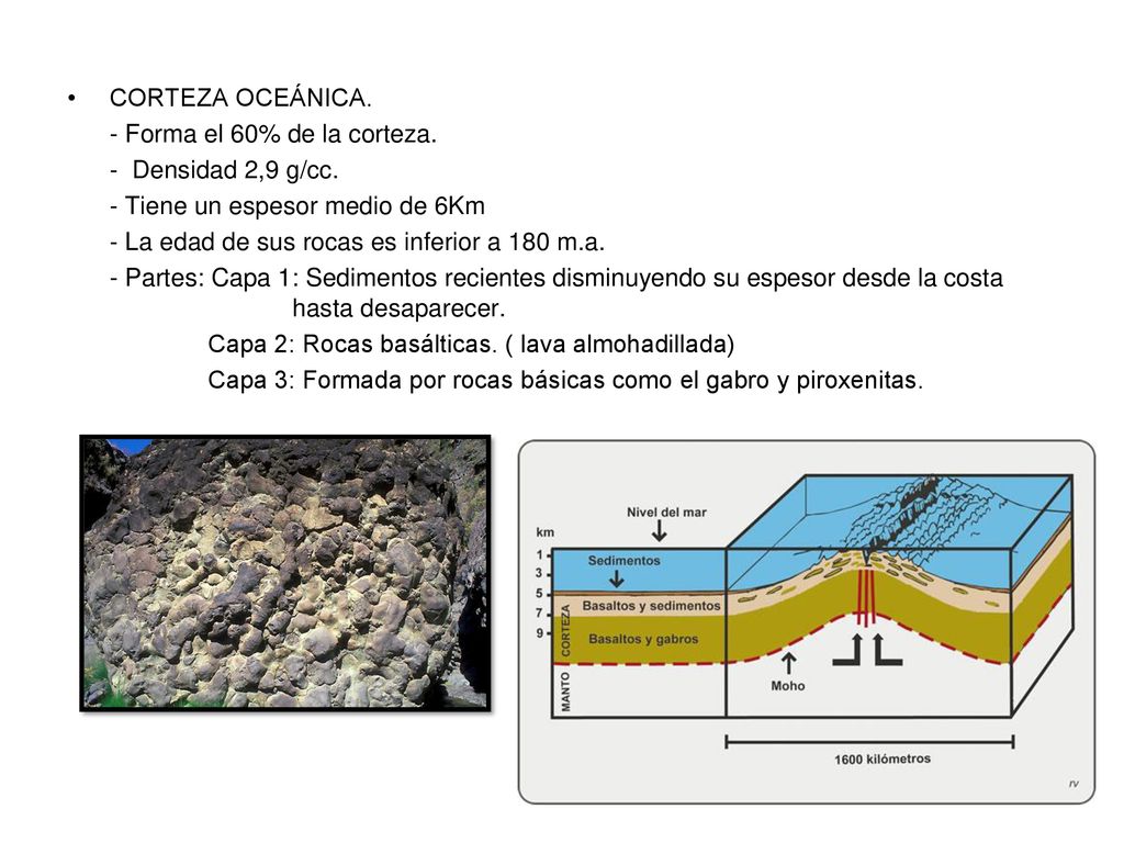 CORTEZA OCEÁNICA. - Forma el 60% de la corteza. - Densidad 2,9 g/cc. - Tiene un espesor medio de 6Km.