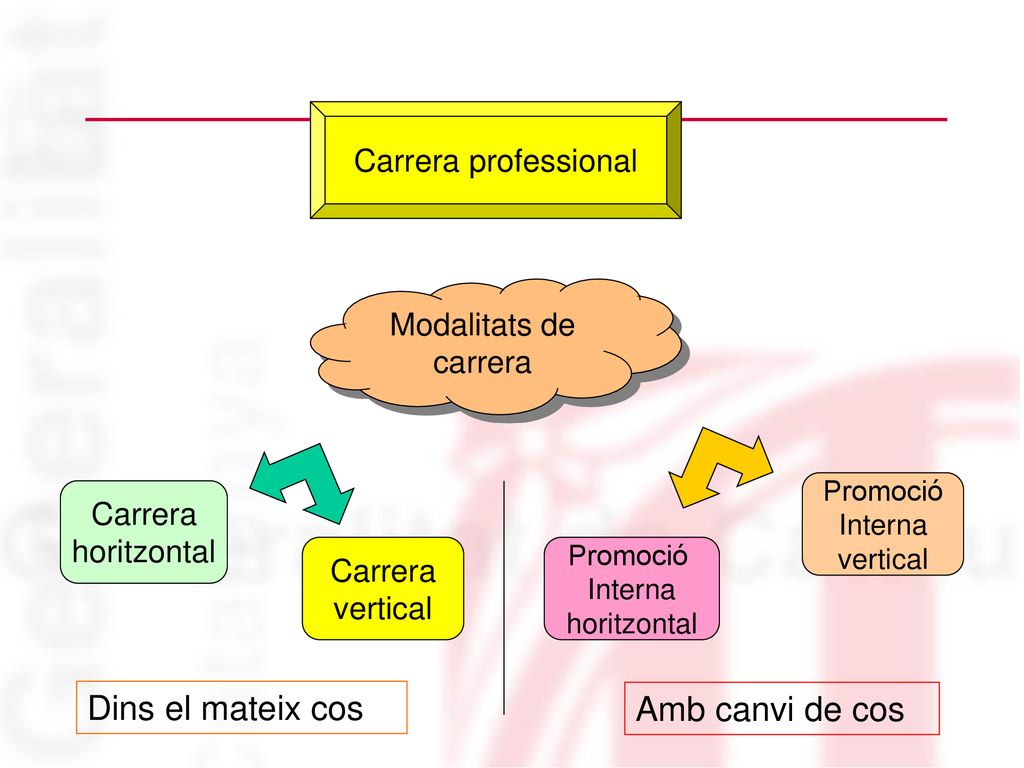 Dins el mateix cos Amb canvi de cos Carrera professional Modalitats de