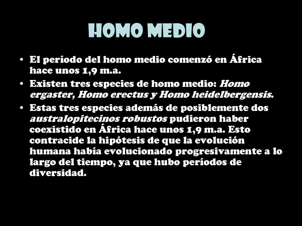 Homo medio El período del homo medio comenzó en África hace unos 1,9 m.a.