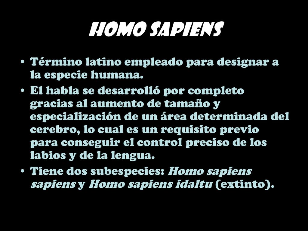 Homo sapiens Término latino empleado para designar a la especie humana.