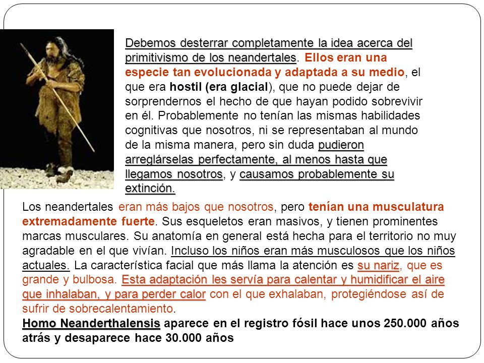Debemos desterrar completamente la idea acerca del primitivismo de los neandertales. Ellos eran una especie tan evolucionada y adaptada a su medio, el que era hostil (era glacial), que no puede dejar de sorprendernos el hecho de que hayan podido sobrevivir en él. Probablemente no tenían las mismas habilidades cognitivas que nosotros, ni se representaban al mundo de la misma manera, pero sin duda pudieron arreglárselas perfectamente, al menos hasta que llegamos nosotros, y causamos probablemente su extinción.
