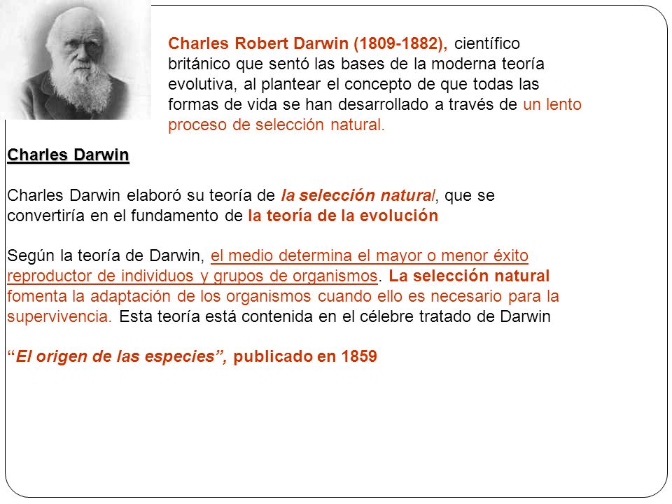 Charles Robert Darwin ( ), científico británico que sentó las bases de la moderna teoría evolutiva, al plantear el concepto de que todas las formas de vida se han desarrollado a través de un lento proceso de selección natural.