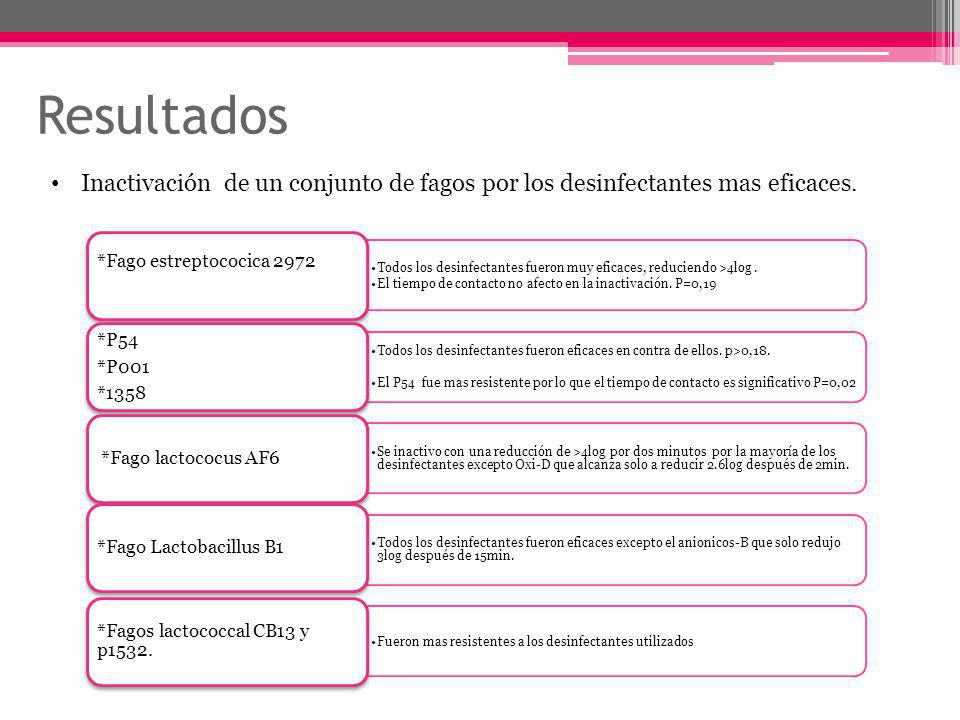 Resultados Inactivación de un conjunto de fagos por los desinfectantes mas eficaces.