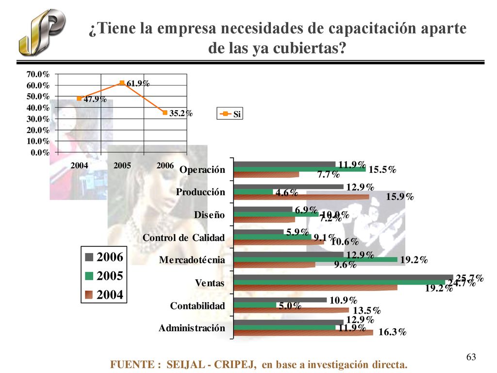 ¿Tiene la empresa necesidades de capacitación aparte de las ya cubiertas