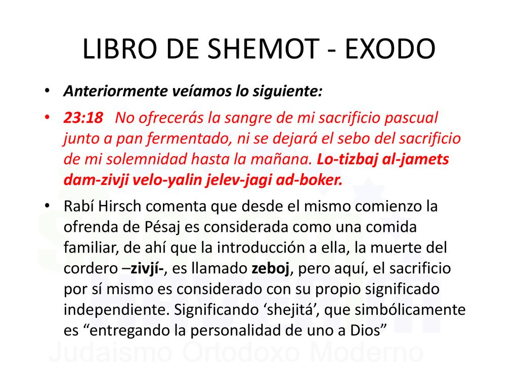LIBRO DE SHEMOT - EXODO Anteriormente veíamos lo siguiente: