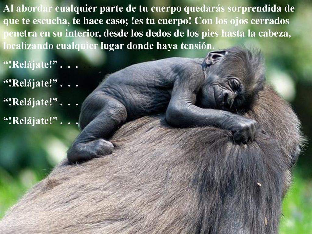 Al abordar cualquier parte de tu cuerpo quedarás sorprendida de que te escucha, te hace caso; !es tu cuerpo! Con los ojos cerrados penetra en su interior, desde los dedos de los pies hasta la cabeza, localizando cualquier lugar donde haya tensión.