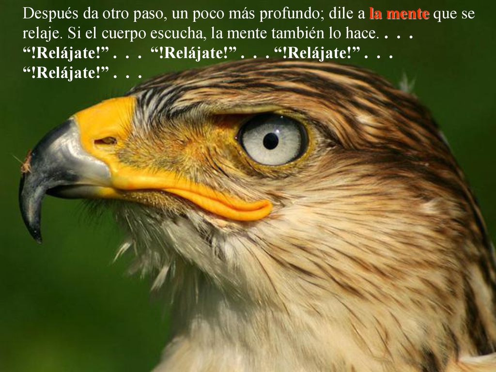 Después da otro paso, un poco más profundo; dile a la mente que se relaje.