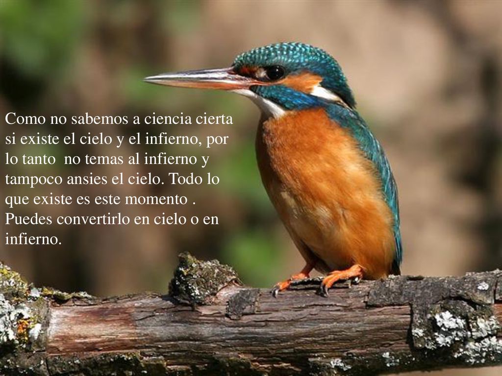 Como no sabemos a ciencia cierta si existe el cielo y el infierno, por lo tanto no temas al infierno y tampoco ansies el cielo.