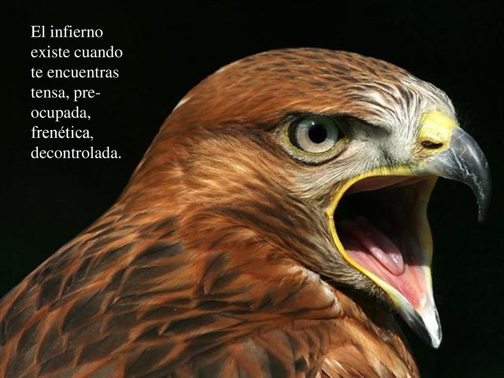 El infierno existe cuando te encuentras tensa, pre-ocupada, frenética, decontrolada.