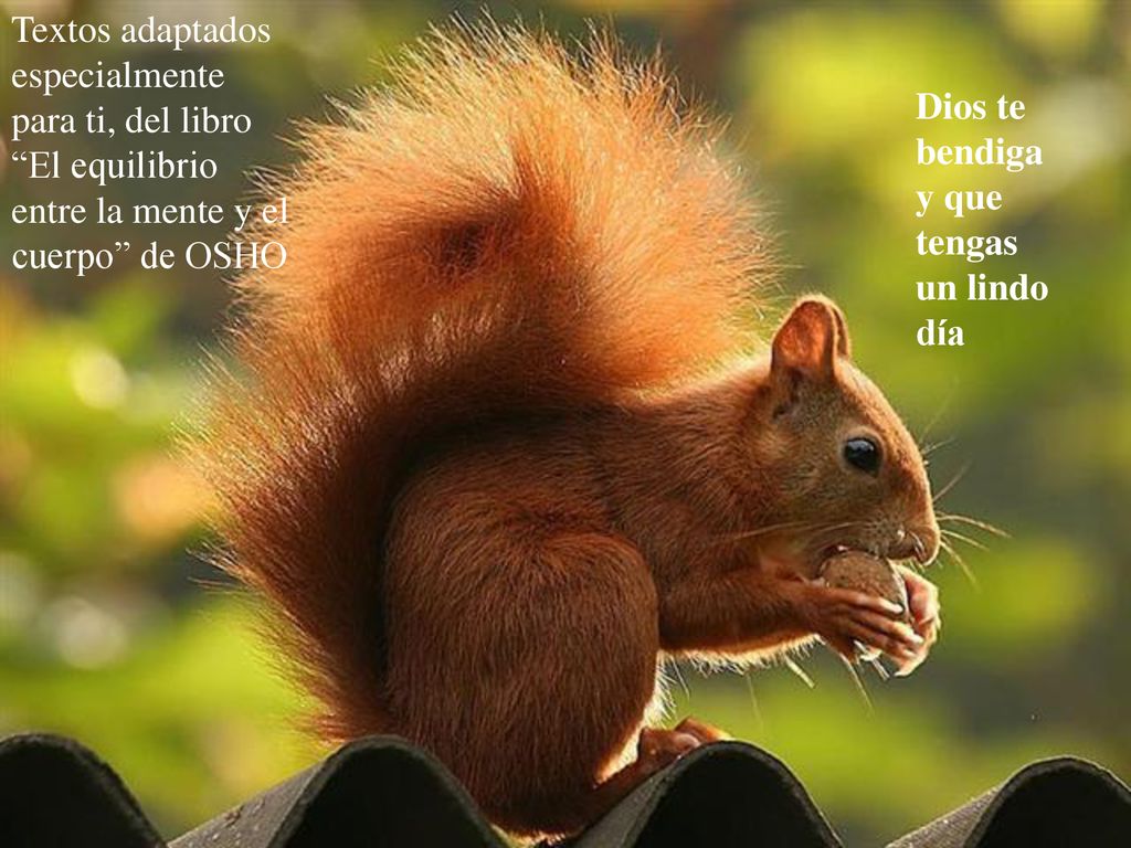 Textos adaptados especialmente para ti, del libro El equilibrio entre la mente y el cuerpo de OSHO