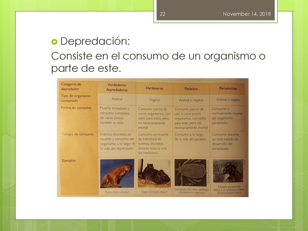 Consiste en el consumo de un organismo o parte de este.