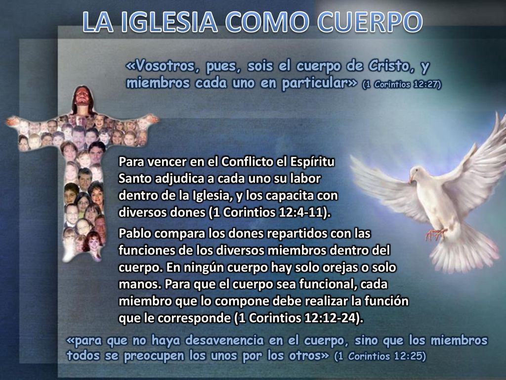 LA IGLESIA COMO CUERPO «Vosotros, pues, sois el cuerpo de Cristo, y miembros cada uno en particular» (1 Corintios 12:27)