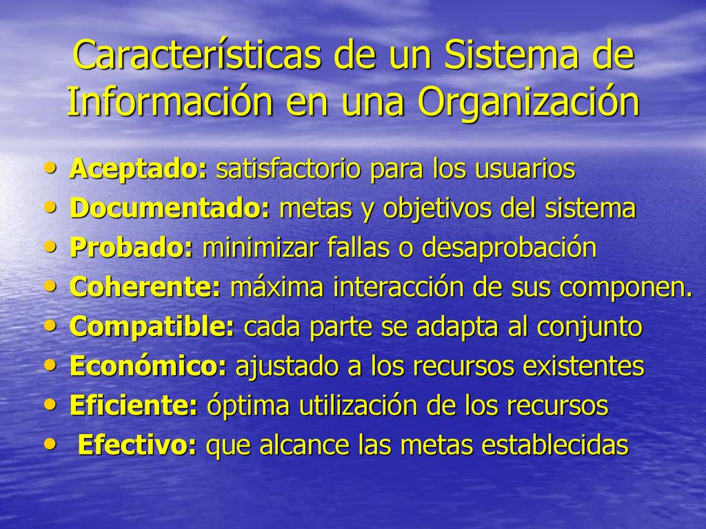 Características de un Sistema de Información en una Organización